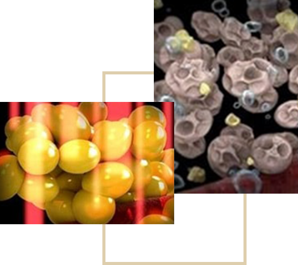 Noemí Azor Centre Mèdic-Estètic a La Garriga Noemí Azor Centre Mèdic-Estètic a La Garriga